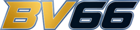 bv66 logo